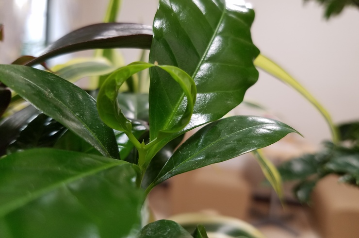 長崎エステサロン